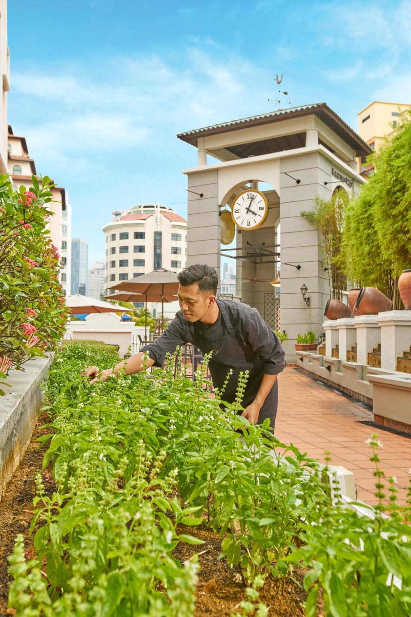 Fraser Place Robertson Walk Singapore Exterior photo Chef at work at the hotel's rooftop garden